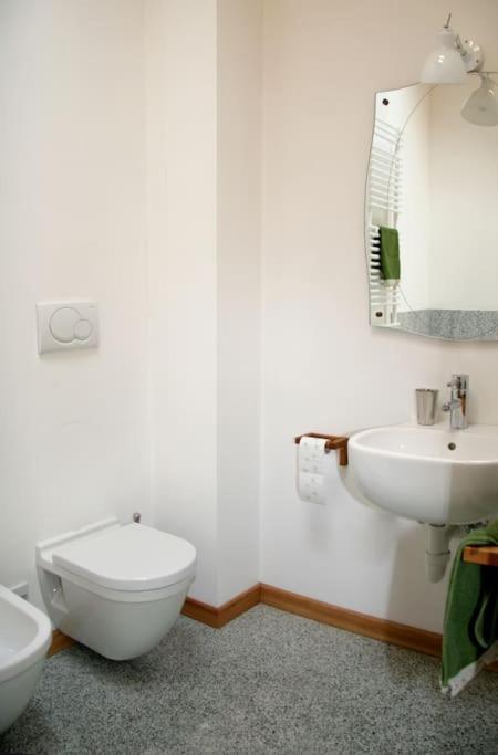 Lovely Apt In Pinzolo Val Rendena 7 מראה חיצוני תמונה